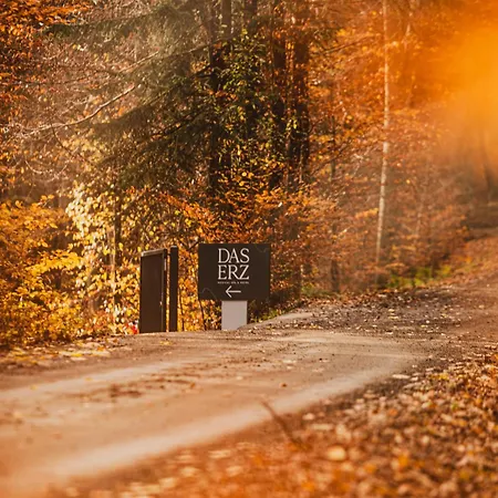 Erz Medical & Отель