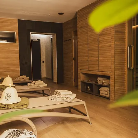 Erz Medical & Hotel 4*