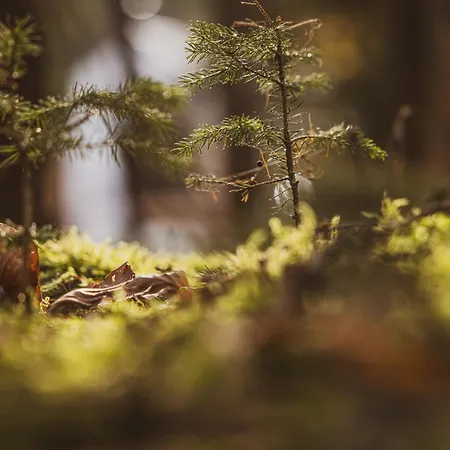 Erz Medical & * Кроттендорф