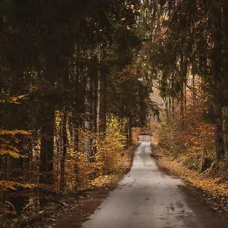 Отель Erz Medical &