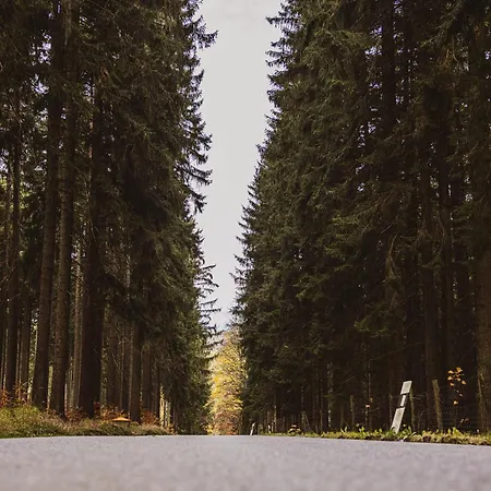 Erz Medical & Hotel *