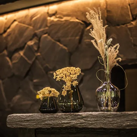 Отель Erz Medical &