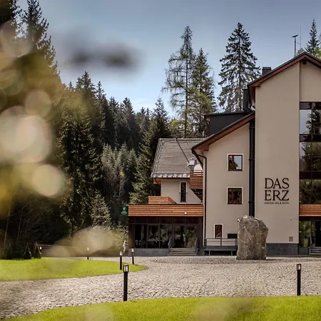 Erz Medical & Отель *