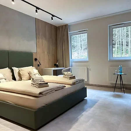 Отель Erz Medical & *