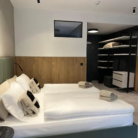 Erz Medical & Hotel *