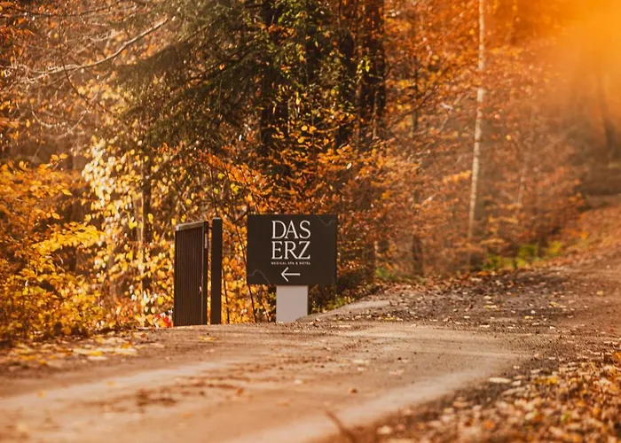 Erz Medical & فندق