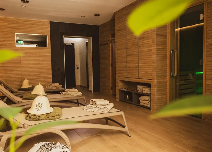 Erz Medical & Hotel 4*