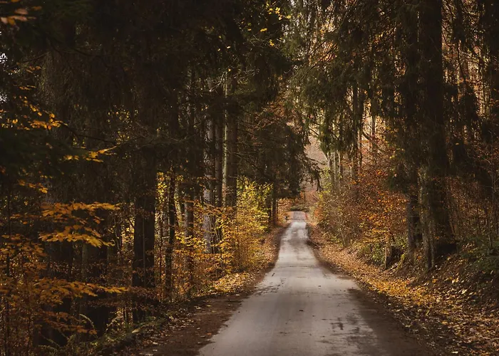 فندق Erz Medical &