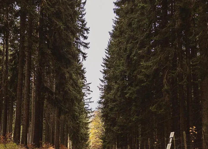 Erz Medical & فندق 4*