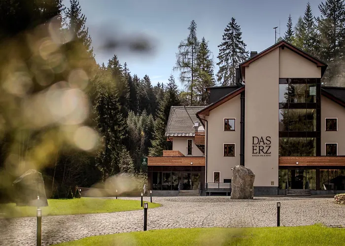 Erz Medical & فندق 4*