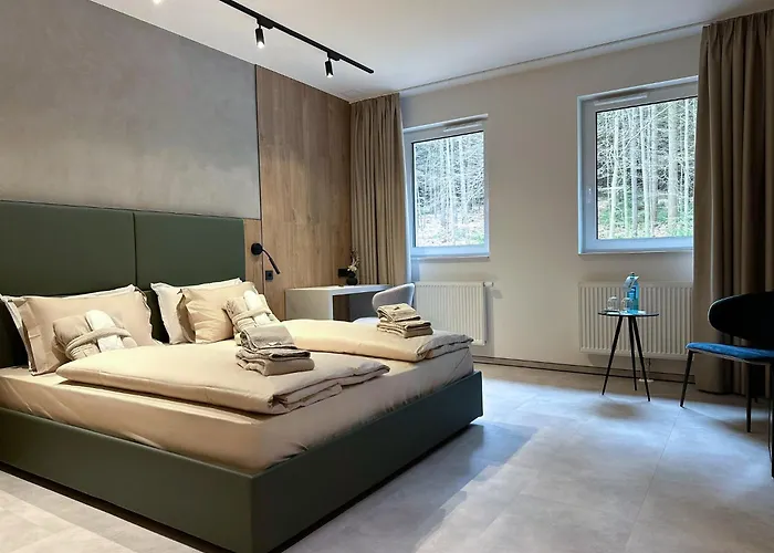 Hotel Erz Medical & 4*